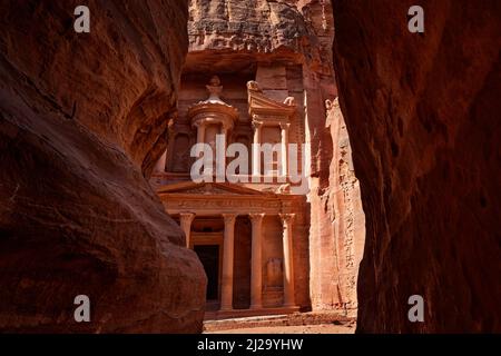 Travel Jordan, Arabia nature.  Arabian oryx or white oryx, Oryx leucoryx, antelope with a distinct shoulder bump, Evening light in nature. Animal in t Stock Photo