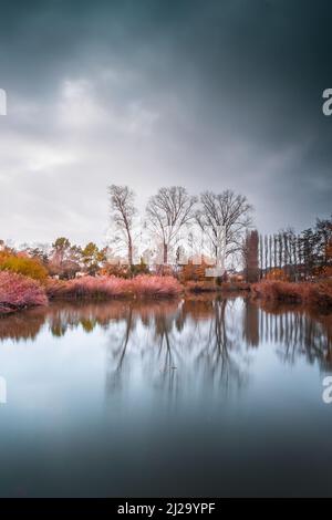 A vertical shot of a park with pink bushes and trees reflecting in the water Stock Photo
