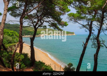 Campi Bay beach in Apulia, Italy.The pebbly beach is a picturesque bay sheltered the south by the Campi rock,framed by olive trees and pinewoods. Stock Photo