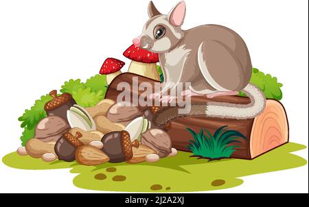 Sugar glider sitting on the log illustration Stock Vector