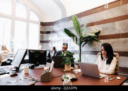 Female and male lawyers using laptops at desk in office Stock Photo