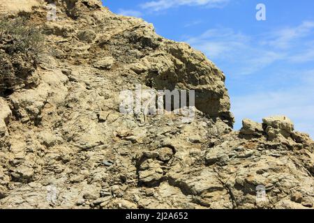 A lizard basking in the sun in the mountains of Gobustan. Azerbaijan. Stock Photo