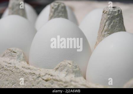 White chicken eggs are in a cardboard box Stock Photo