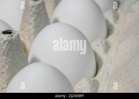 White chicken eggs are in a cardboard box Stock Photo