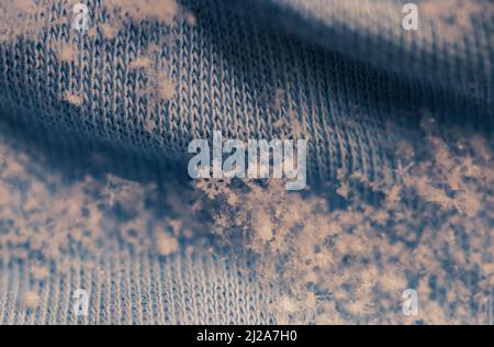Snowflakes on a blue canvas in macro mode Stock Photo