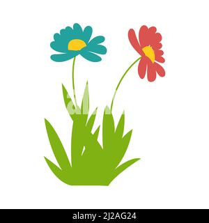 Two gerbera flowers, Spring plant, Vector illustration. Chamomiles Stock Vector