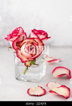 Floral still life with pastel colored pink roses in glass vase for home decor. Minimal floral concept and minimalism aesthetic. Copy space. Stock Photo