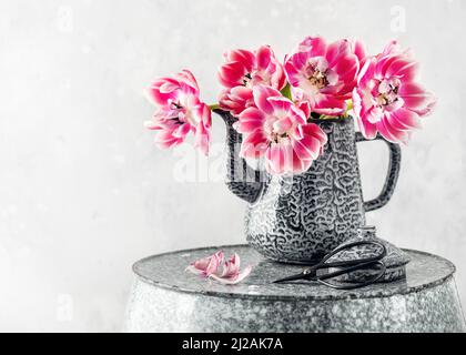Beautiful bouquet of pink and white filled tulip flowers in an old vintage enamel teapot. Home or garden decoration. Copy space. Stock Photo