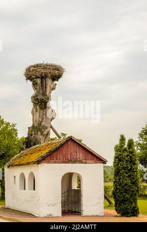 A stork's nest attached to the top of a tree, outside the settlement. Stock Photo