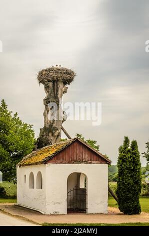 A stork's nest attached to the top of a tree, outside the settlement. Stock Photo