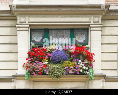 Berlin Balkonblumen Stock Photo