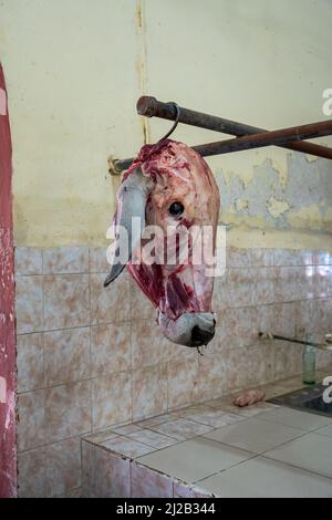 Skinned head of a cow hanging at the butcher shop, vertical Stock Photo