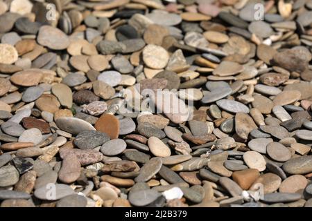 Pebbles on the Rhine river bank Stock Photo