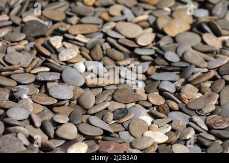 Pebbles on the Rhine river bank Stock Photo
