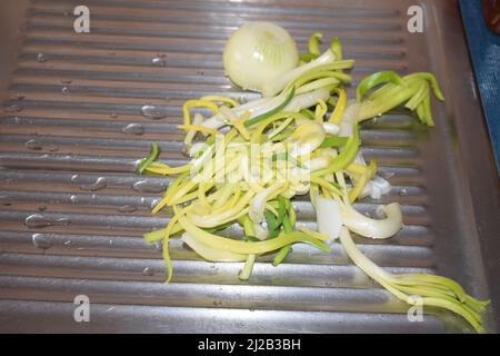onion sprouts Stock Photo