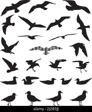 Silhouettes of gulls flying and floating on water Stock Vector