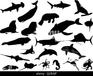 Collection of silhouettes of sea animals: whale, shark, dolphin, octopus, seal, fur seal, walrus, orca, manta, skat, sea horse, marlin, swordfish Stock Vector