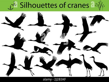 Collection of silhouettes of cranes Stock Vector
