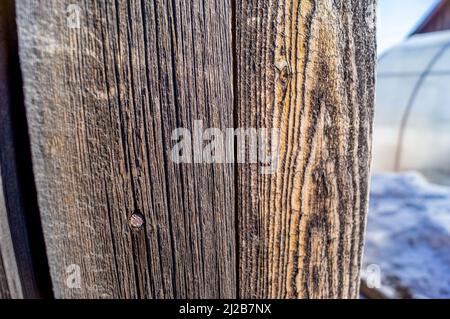 Wooden texture with sun glints and hammered nails Stock Photo