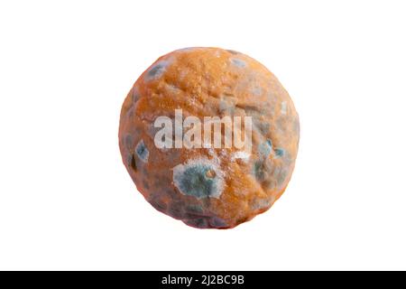 Top view moldy bread isolated on white background. Rotten bread. Mildew covered food. Stock Photo