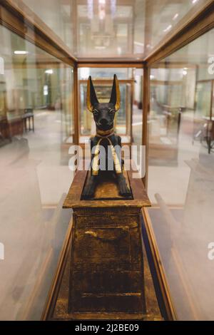 Sitting Black and Gold Statue of Ancient Egyptian God of Death Anubis in Cairo Museum, Egypt Stock Photo