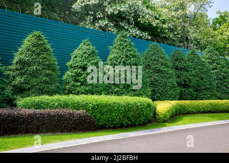 roadside asphalt road with drainage canal with green plants deciduous bushes and pine trees. Stock Photo