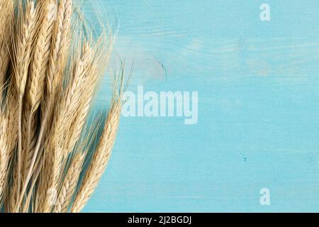 Golden ears of wheat on a blue wood background with copy space Stock Photo