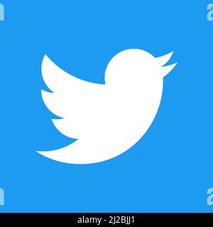 Twitter social media app icon Stock Vector