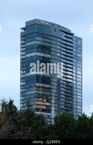 Bellevue, WA, USA - March 29, 2022; The Westin Hotel tower in Bellevue Washington in evening light Stock Photo