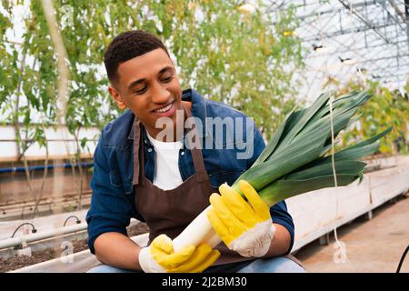 Positive african american farmer in gardening gloves holding fresh leek in greenhouse Stock Photo