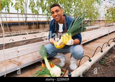 Happy african american farmer in gloves holding leek near vegetables and ground in greenhouse Stock Photo
