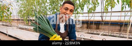 African american farmer in glove holding fresh leek in greenhouse, banner Stock Photo