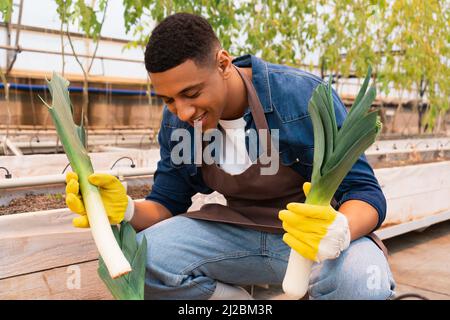 African american farmer in apron holding leek in greenhouse Stock Photo