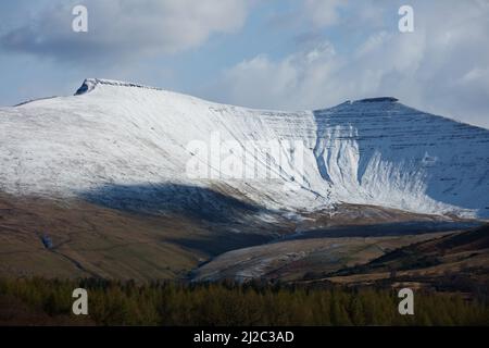 Libanus, Brecon Beacons, South Wales, UK.  31 March 2022.  UK weather: Snow on the Brecon Beacons this afternoon.  Credit: Andrew Bartlett/Alamy Live News Stock Photo