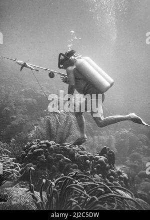 Diver with harpoon Black and White Stock Photos & Images - Alamy