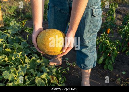 Teenager holding melon in his hands Stock Photo