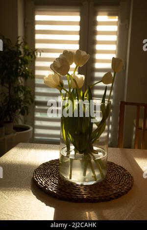 Spring flowers - white tulips in glass vase on wooden table Stock Photo