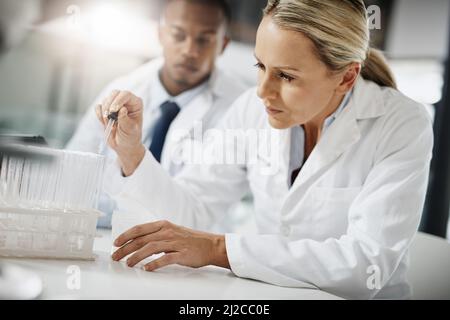 Lets test these samples. Cropped shot of two scientists testing a sample while doing research in their lab. Stock Photo