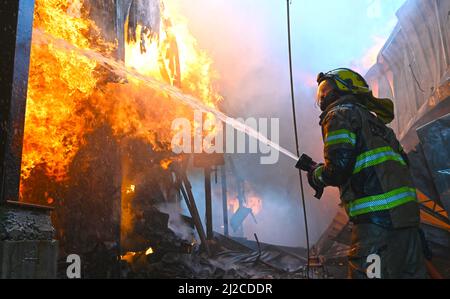 Kuwait City, Kuwait. 31st Mar, 2022. A firefighter battles a fire at Al-Mubarakiya market in Kuwait City, Kuwait, on March 31, 2022. A total of 14 injured on Thursday afternoon as a huge fire broke out at Kuwait's popular Al-Mubarakiya market in Kuwait City, the Kuwait News Agency (KUNA) said. Credit: Asad/Xinhua/Alamy Live News Stock Photo