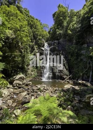 A Waterfall in Minnamurra rainforest national park, New South Wales Australia, long exposure Stock Photo