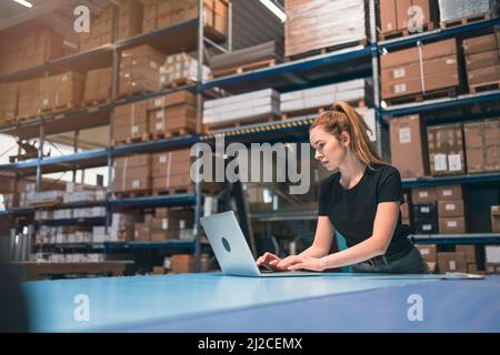 Woman using laptop at warehouse Stock Photo