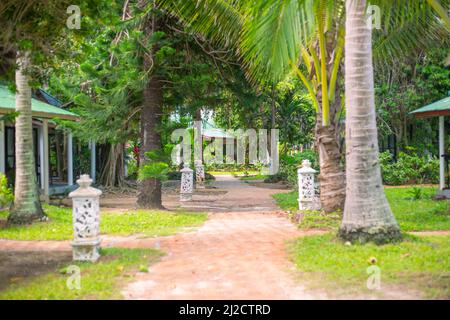 path in the tropical forest. Houses among tropical plants and decorative lanterns, selective focus. Travel and tourism, landscape design. Stock Photo