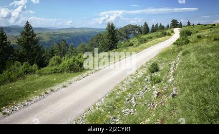 straight road on highland of Durmitor Park, Montenegro Stock Photo