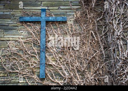 Old wooden cross on a wall covered with dry ivy, abstract vintage concept Stock Photo