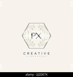 PX Initial Letter Flower Logo Template Vector premium vector Stock Vector