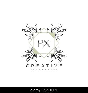PX Initial Letter Flower Logo Template Vector premium vector Stock Vector