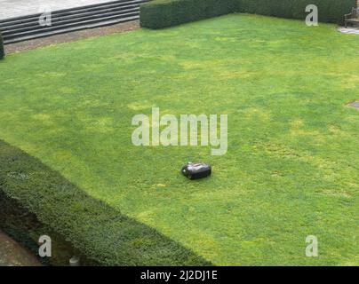 High angle view of A Robot lawn mower working in the back yard garden Stock Photo