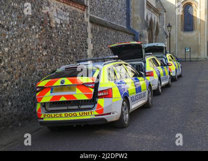 Police Dog Unit cars parked by the Cathedral in the centre of the City of Norwich, Norfolk, England, United Kingdom. Stock Photo