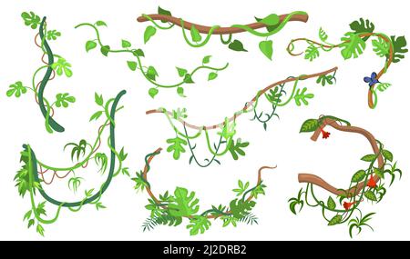 Colorful liana or jungle plant flat set for web design. Cartoon climbing twigs of tropical vines and trees isolated vector illustration collection. Ra Stock Vector