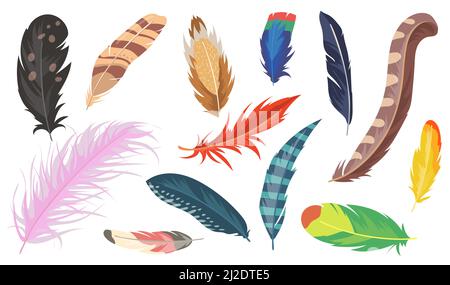 Variety of colorful feathers flat item set. Cartoon shiny ostrich, pheasant and parrot isolated vector illustration collection. Bird feather and decor Stock Vector